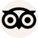 dominican bus logo